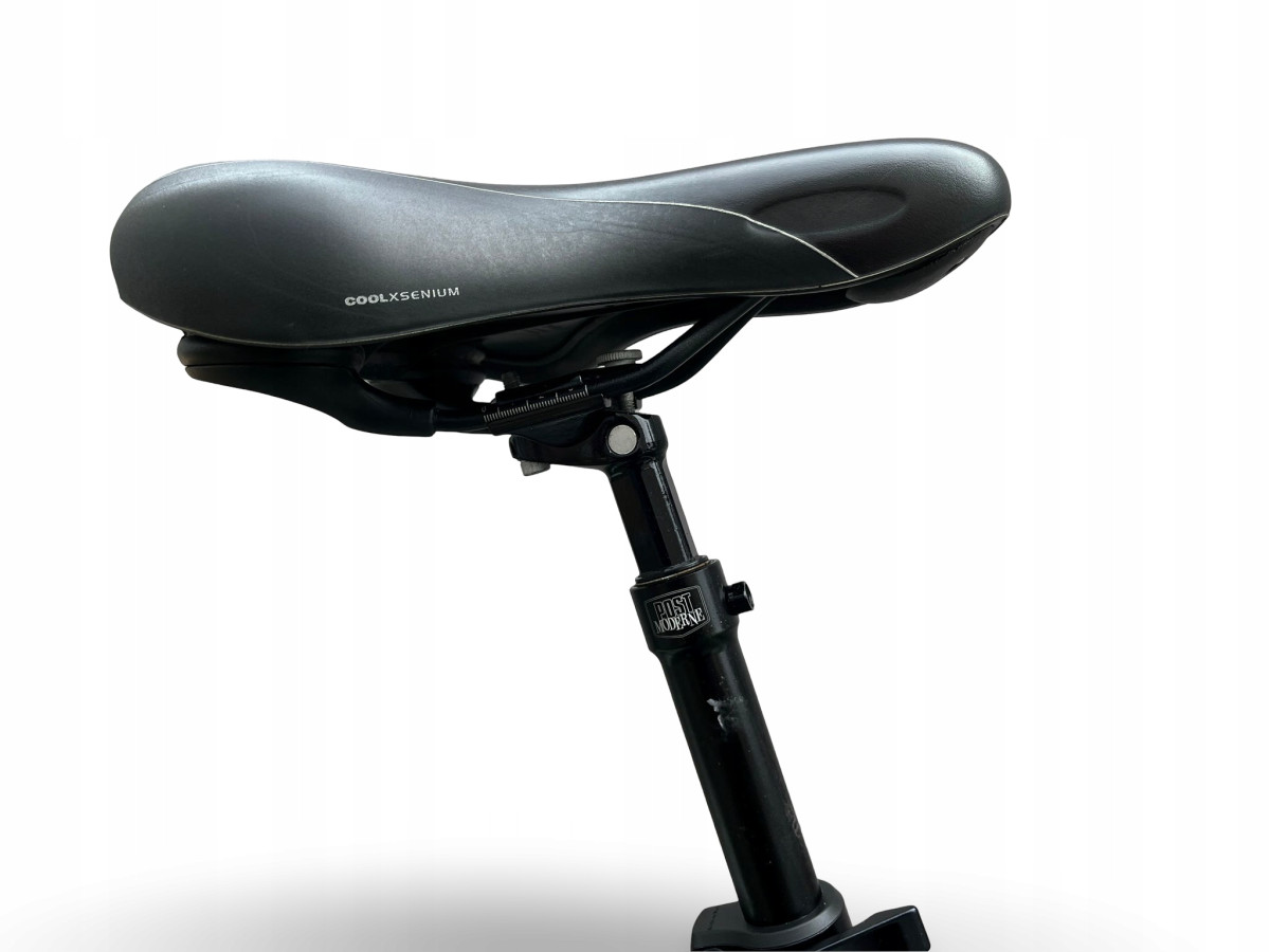 ROWER ELEKTRYCZNY FLYER T-SERIES RAMA 46CM SHIMANO NEXUS 8 PANASONIC 540WH