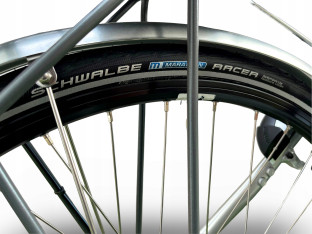 ROWER ELEKTRYCZNY FLYER T-SERIES RAMA 44CM SHIMANO NEXUS 8 PANASONIC 432WH