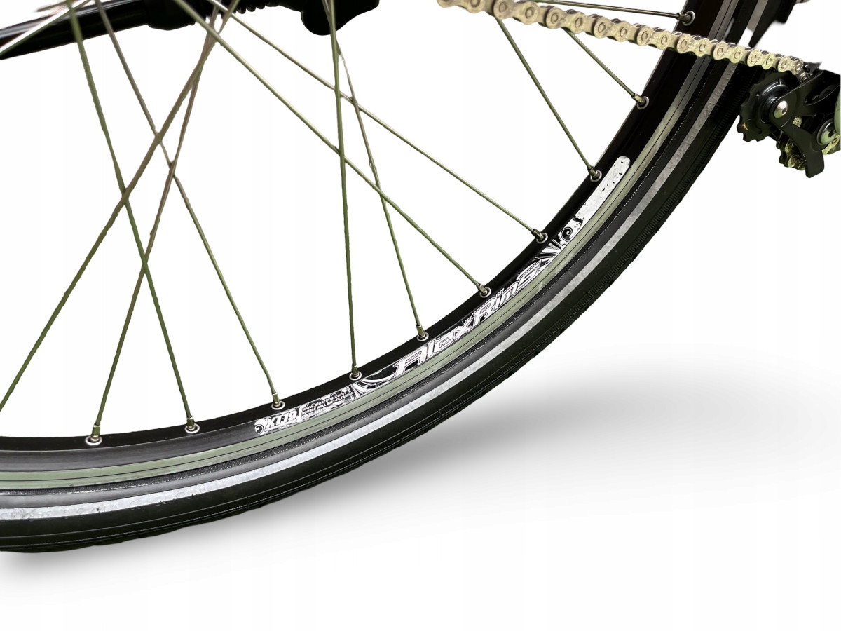 ROWER ELEKTRYCZNY FLYER T-SERIES RAMA 50CM SHIMANO ALFINE PANASONIC 10AH