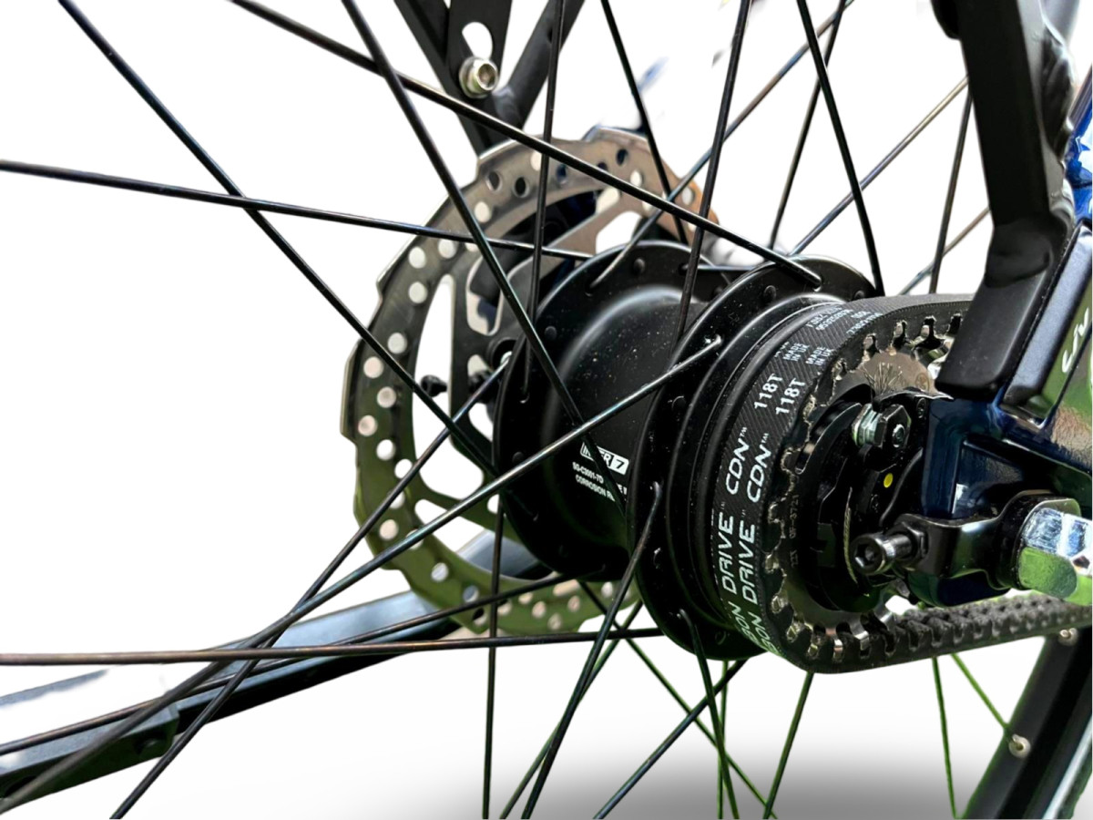 ROWER MIEJSKI GIANT LIV ALLURE CS3 SHIMANO NEXUS PASEK GATES CARBON RAMA S