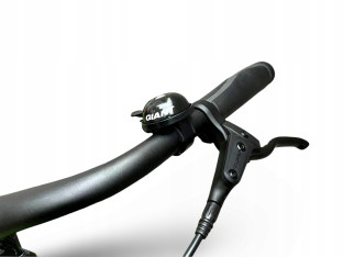 ROWER MIEJSKI GIANT LIV ALLURE CS3 SHIMANO NEXUS PASEK GATES CARBON RAMA S