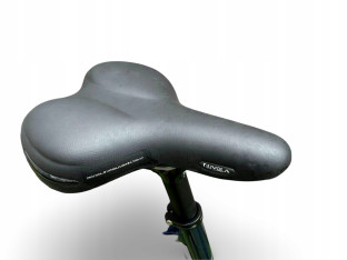 ROWER MIEJSKI GIANT LIV ALLURE CS3 SHIMANO NEXUS PASEK GATES CARBON RAMA S