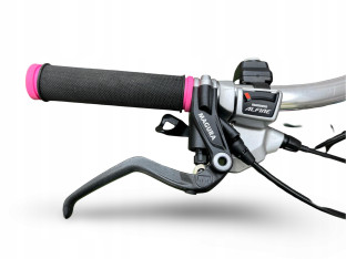 ROWER ELEKTRYCZNY FLYER C10 RAMA 45CM SHIMANO ALFINE PANASONIC 13,4AH