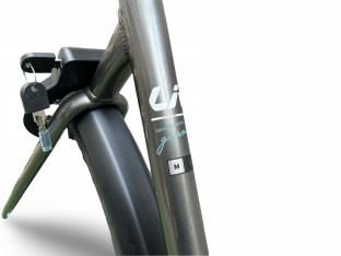 ROWER MIEJSKI GIANT LIV ALLURE CS1 SHIMANO ALFINE PASEK CARBON GATES LEKKI