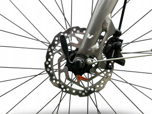 ROWER MIEJSKI GIANT LIV ALLURE CS1 SHIMANO ALFINE PASEK CARBON GATES LEKKI