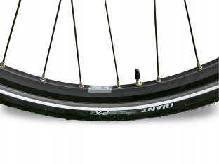 ROWER MIEJSKI GIANT LIV ALLURE CS1 SHIMANO ALFINE PASEK CARBON GATES LEKKI