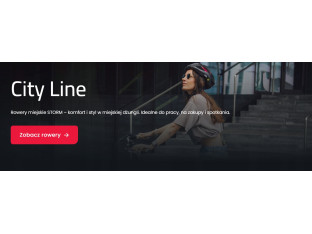 ROWER MIEJSKI NA KOMUNIE STORM DUBLIN 3S KOŁA 26" RAMA 17" SHIMANO NEXUS