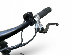 ROWER ELEKTRYCZNY FLYER C10 RAMA 50CM PANASONIC SHIMANO NEXUS 8