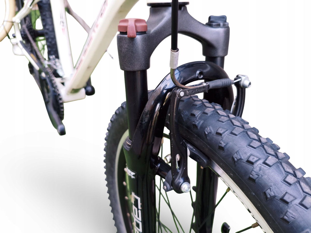 ROWER JUNIOR MTB LEADER FOX SUNNY KOŁA 24" SHIMANO DEORE 24B