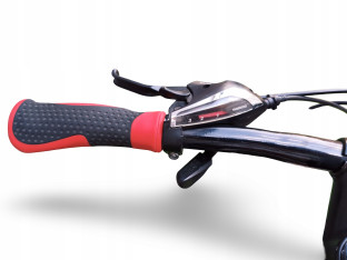 ROWER JUNIOR MTB LEADER FOX SUNNY KOŁA 24" SHIMANO DEORE 24B