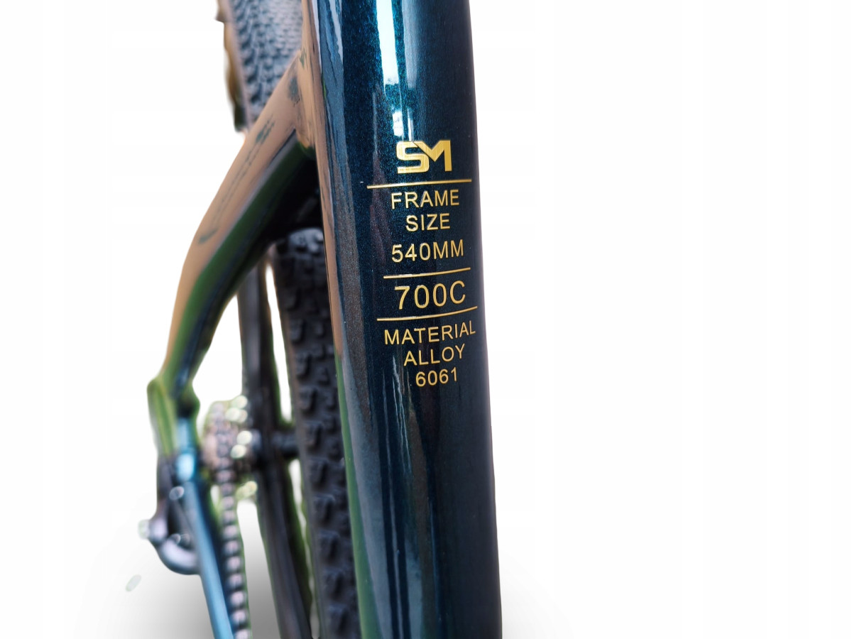 ROWER GRAVEL STORM FOCUS 1.0 SHIMANO TORUENY 54CM ZIELONA BUTELKA