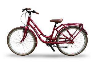 ROWER MIEJSKI JUNIOR ORTLER COPPENHAGEN KOŁA 24" SHIMANO NEXUS 3S LED