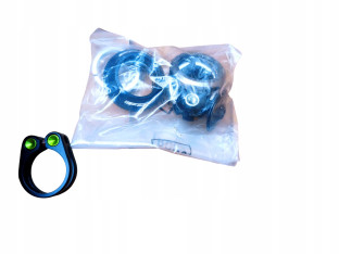 RAMA ROWEROWA SZOSOWA FUJI FINEST 2.1 47CM Z KARBONOWYM WIDELCEM