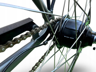 ROWER ELEKTRYCZNY MIEJSKI RALEIGH DOVER RAMA 46CM KOŁA 28" SHIMANO NEXUS