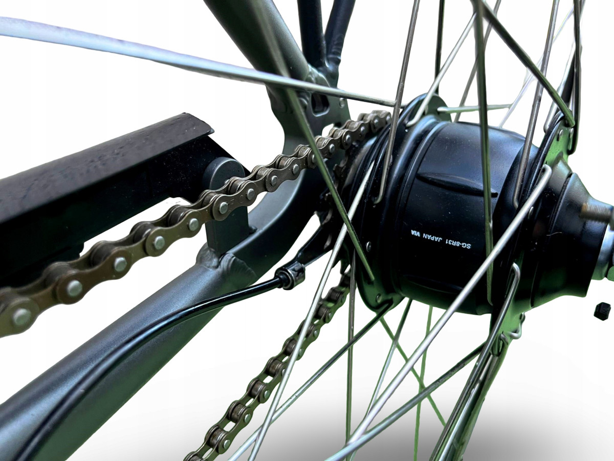 ROWER ELEKTRYCZNY MIEJSKI RALEIGH DOVER RAMA 46CM KOŁA 28" SHIMANO NEXUS