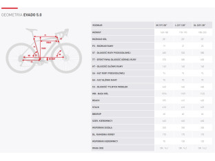 ROWER CROSSOWY MĘSKI KROSS EVADO 5.0 RAMA M 19" 2024 SHIMANO CUES