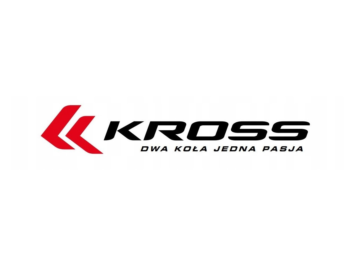 ROWER CROSSOWY MĘSKI KROSS EVADO 5.0 RAMA M 19" 2024 SHIMANO CUES