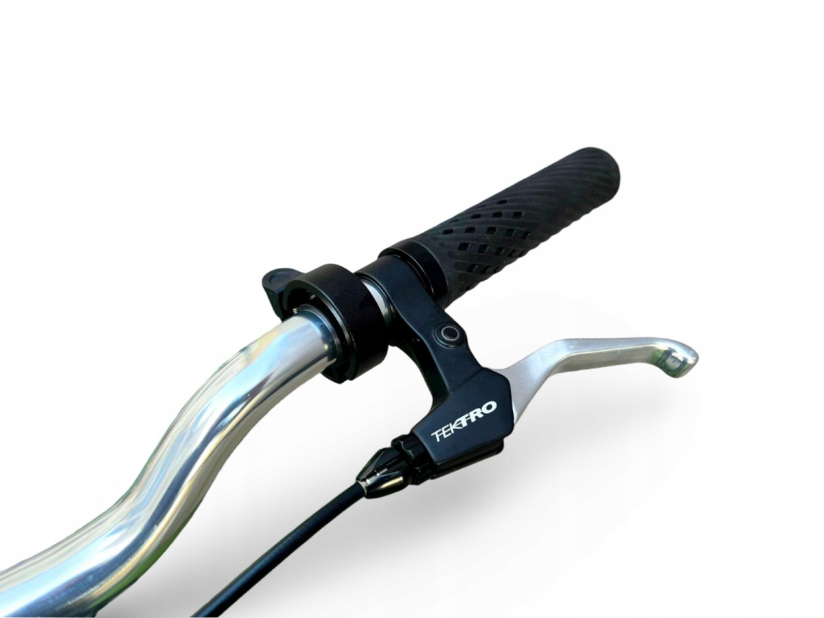 ROWER MIEJSKI BUZZBIKE URBAN CITY CLUB RAMA 52CM SHIMANO NEXUS 3S