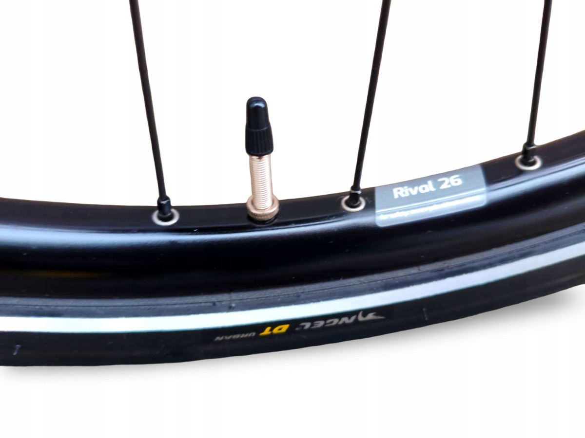 ROWER ELEKTRYCZNY ROSE SNEAK PLUS EQ RAMA 43CM MAHLE X35 PASEK GATES 14KG