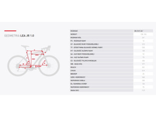 ROWER KROSS LEA JR 1.0 KOŁA 24" SHIMANO TOURNEY RÓŻOWY AMORTYZACJA