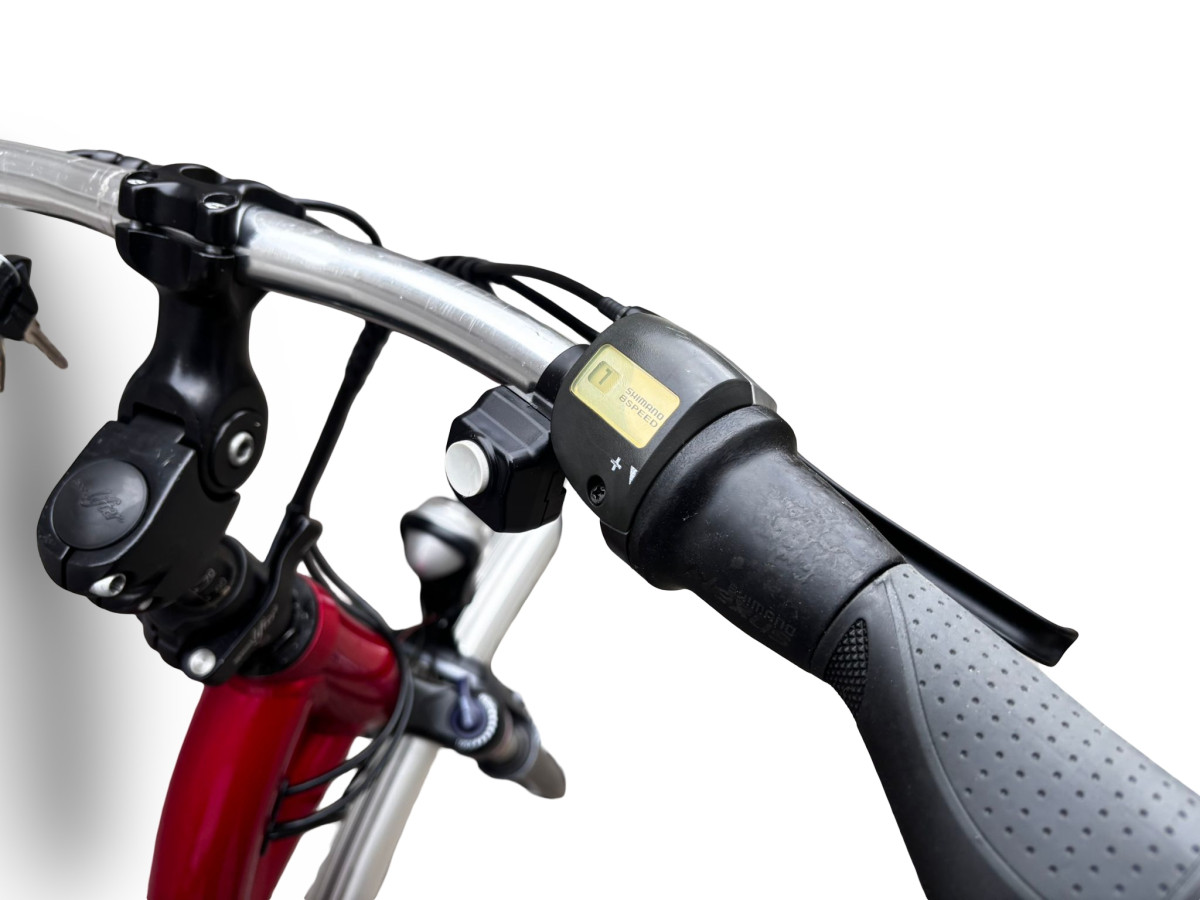 ROWER FLYER C10 RAMA 46CM LOW SHIMANO NEXUS 8S PANASONIC 12AH 917KM