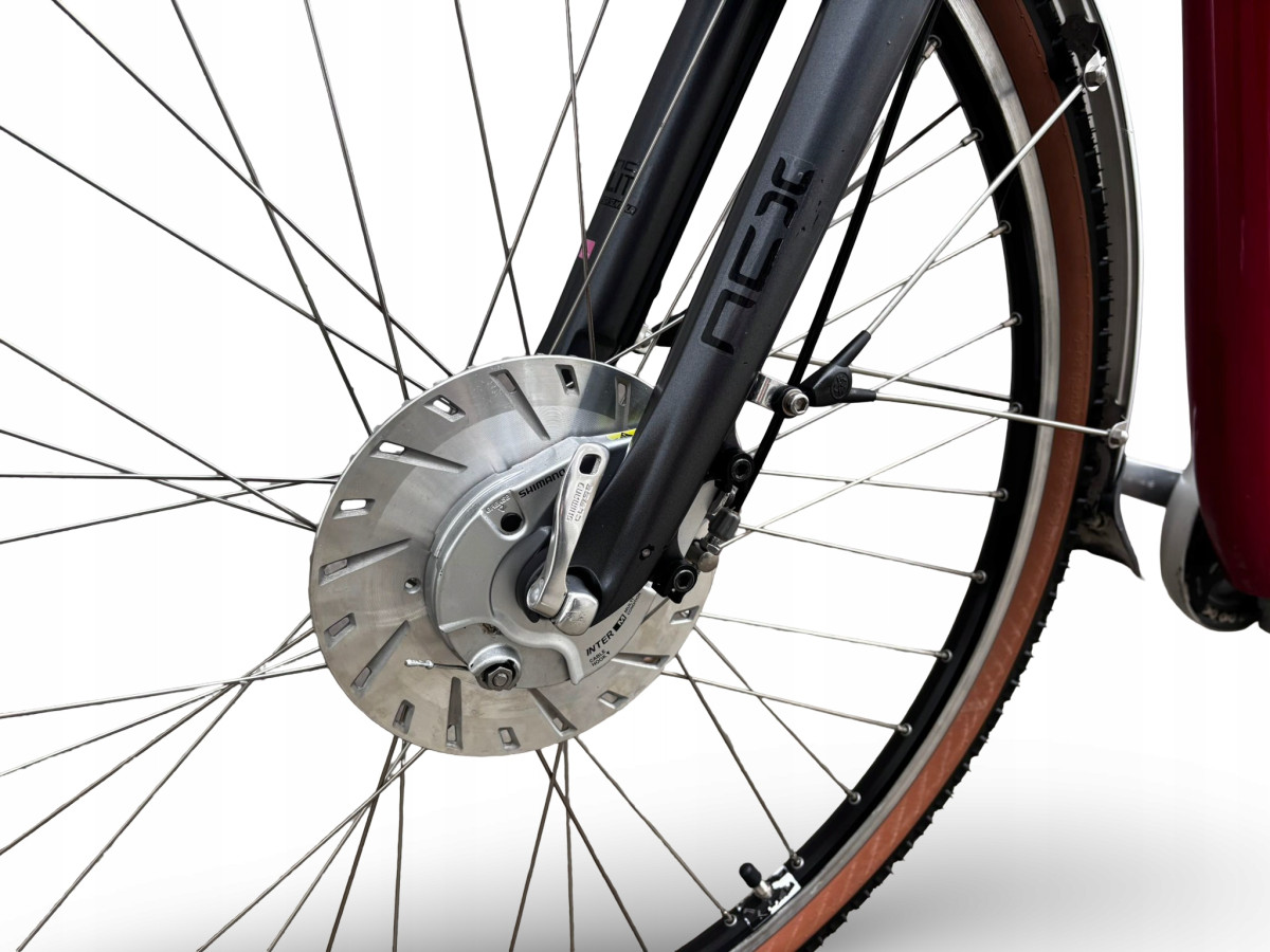 ROWER FLYER C10 RAMA 46CM LOW SHIMANO NEXUS 8S PANASONIC 12AH 917KM