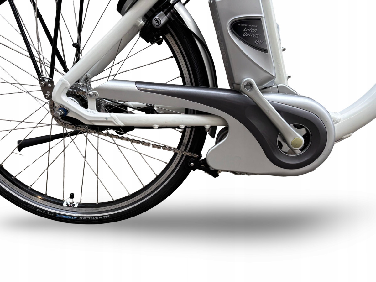 ROWER FLYER C10 RAMA 50CM LOW SHIMANO NEXUS 8S PANASONIC 12AH 612KM