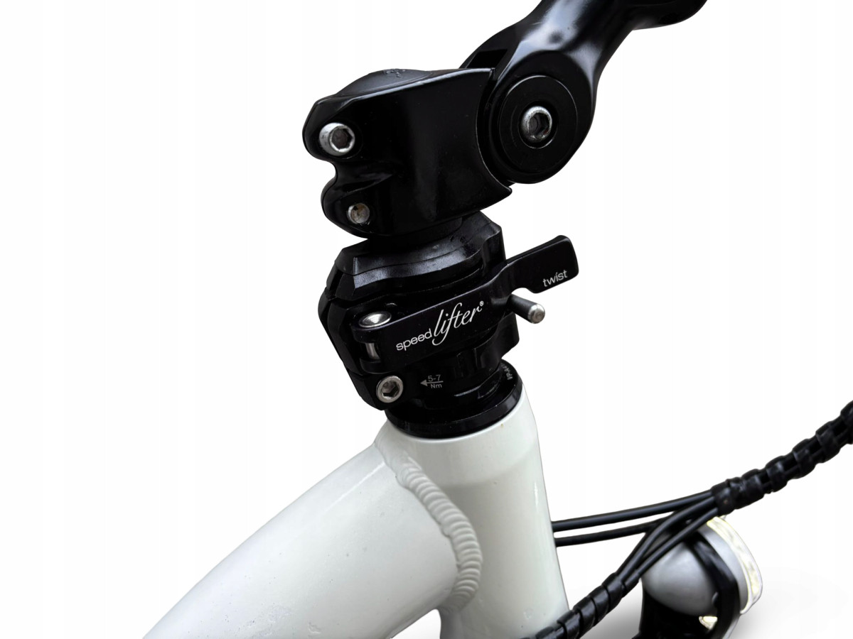 ROWER FLYER C10 RAMA 50CM LOW SHIMANO NEXUS 8S PANASONIC 12AH 612KM