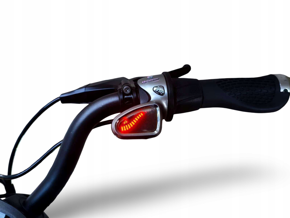 ROWER ELEKTRYCZNY SPARTA E-SPEED RAMA 58CM KOŁA 28 NUVINCI ENVIOLO BOSCH