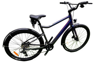 ROWER ELEKTRYCZNY CANNONDALE TREADWELL NEO 2 EQ RAMA 51CM HYENA 250W