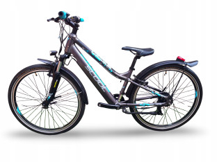 ROWER ELEKTRYCZNY SCOOL ETROX 7S EQ RAMA 14" KOŁA 26" BAFANG 250W 252WH