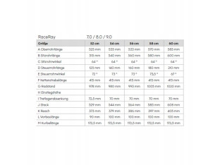 ROWER GRAVEL SZOSOWY RAYMON RACERAY 8.0 DISC RAMA XS 52CM SRAM APEX 1x12
