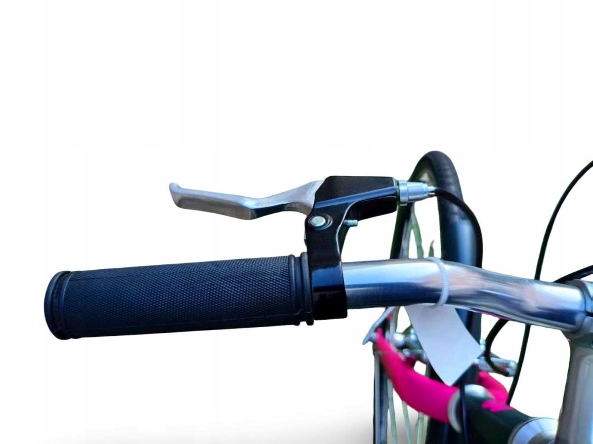 ROWER MIEJSKI BUZZBIKE CYCLECLUB RAMA 52CM KOŁA 28" SHIMANO NEXUS 3