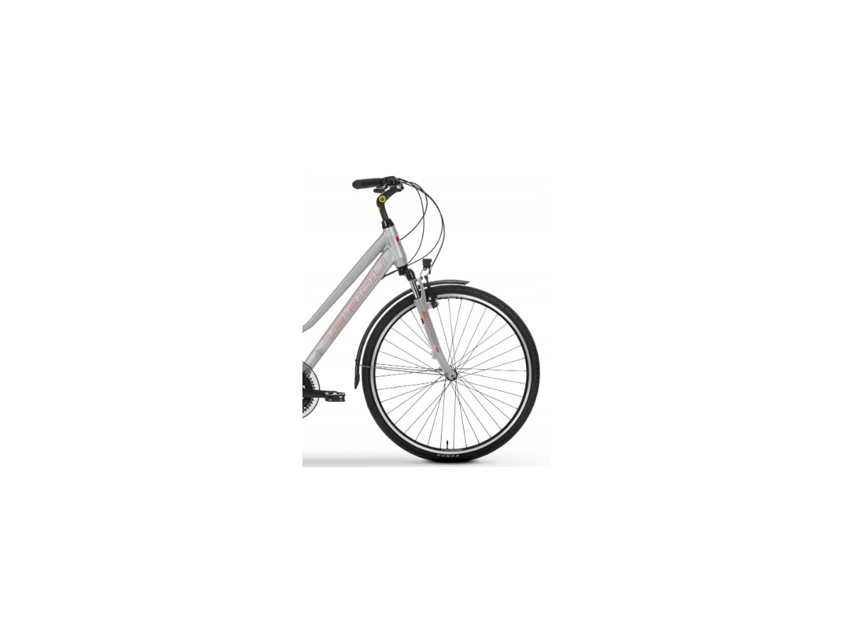 ROWER TREKKINGOWY TABOU KINETIC 1.0 W RAMA 19 SHIMANO 3X6 LUNAR/CHERRY