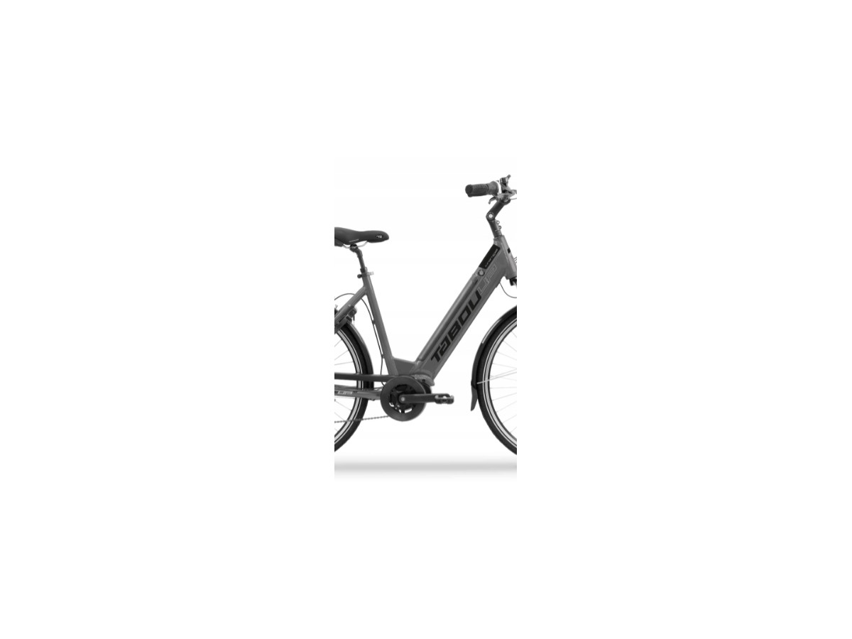 ROWER ELEKTRYCZNY TABOU KINETIC MONO UP 1.0 RAMA 21" SILNIK 80NM 420WH