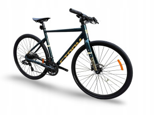 ROWER FITNESS GRAVEL STORM FOCUS 1.0 FLATBAR 54CM GREEN GOLD HYDRAULIKA
