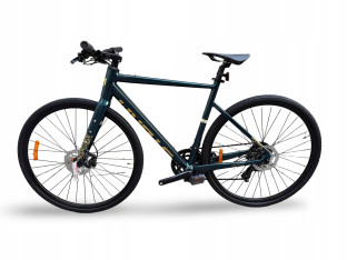 ROWER FITNESS GRAVEL STORM FOCUS 1.0 FLATBAR 54CM GREEN GOLD HYDRAULIKA
