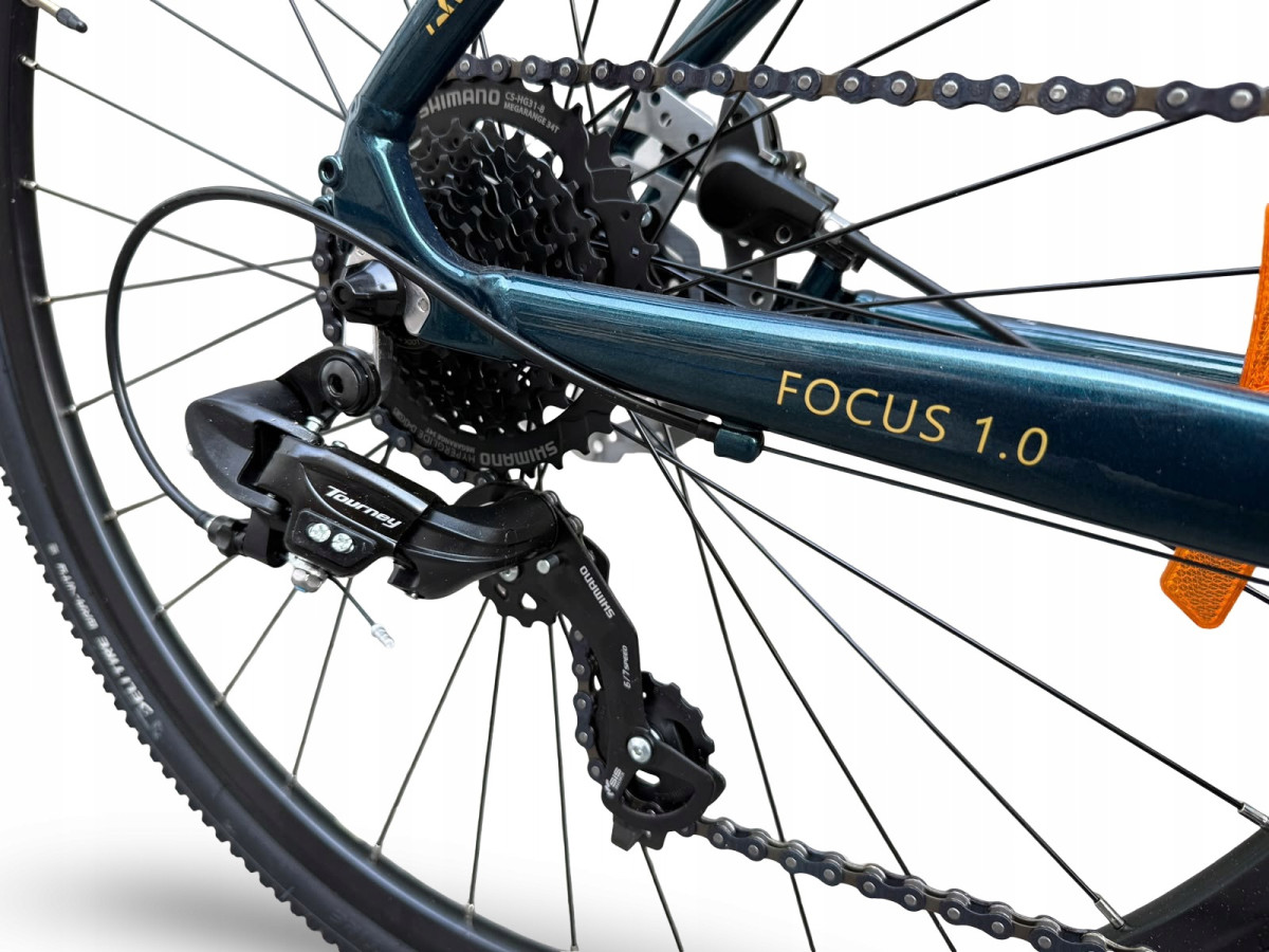 ROWER FITNESS GRAVEL STORM FOCUS 1.0 FLATBAR 54CM GREEN GOLD HYDRAULIKA