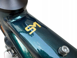 ROWER FITNESS GRAVEL STORM FOCUS 1.0 FLATBAR 54CM GREEN GOLD HYDRAULIKA