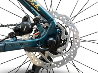ROWER FITNESS GRAVEL STORM FOCUS 1.0 FLATBAR 54CM GREEN GOLD HYDRAULIKA