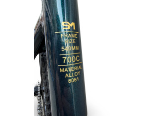 ROWER FITNESS GRAVEL STORM FOCUS 1.0 FLATBAR 54CM GREEN GOLD HYDRAULIKA