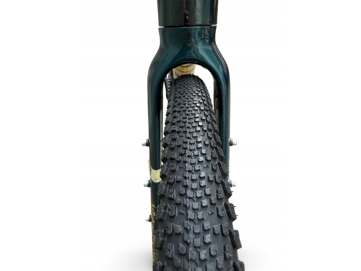 ROWER FITNESS GRAVEL STORM FOCUS 1.0 FLATBAR 54CM GREEN GOLD HYDRAULIKA
