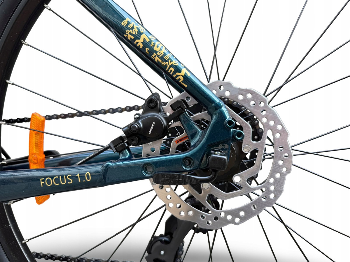 ROWER FITNESS GRAVEL STORM FOCUS 1.0 FLATBAR 54CM GREEN GOLD HYDRAULIKA