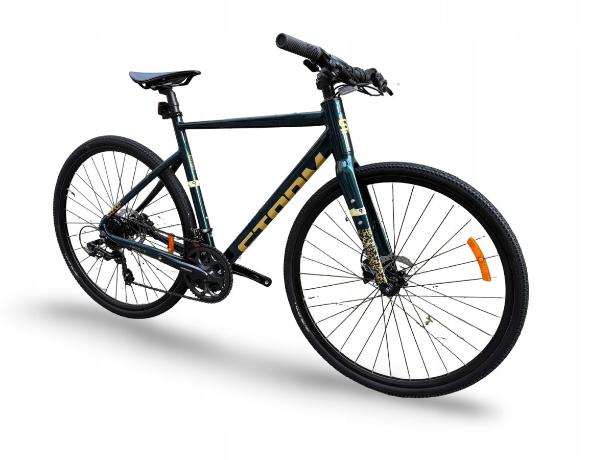 ROWER FITNESS GRAVEL STORM FOCUS 1.0 FLATBAR 54CM GREEN GOLD HYDRAULIKA