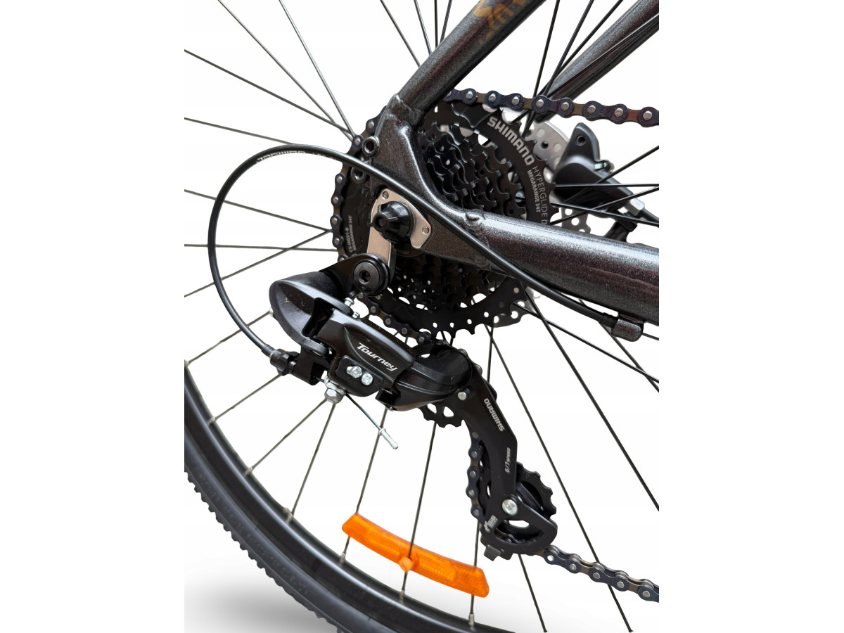 ROWER FITNESS GRAVEL STORM FOCUS 1.0 FLATBAR RAMA 54CM GREY GOLD HYDRAULIKA
