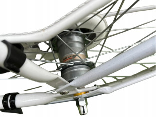 Rower Miejski Ortler van Dyck Rama 55cm Shimano Nexus Oświeltenie LED