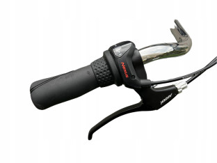 Rower Miejski Ortler van Dyck Rama 55cm Shimano Nexus Oświeltenie LED